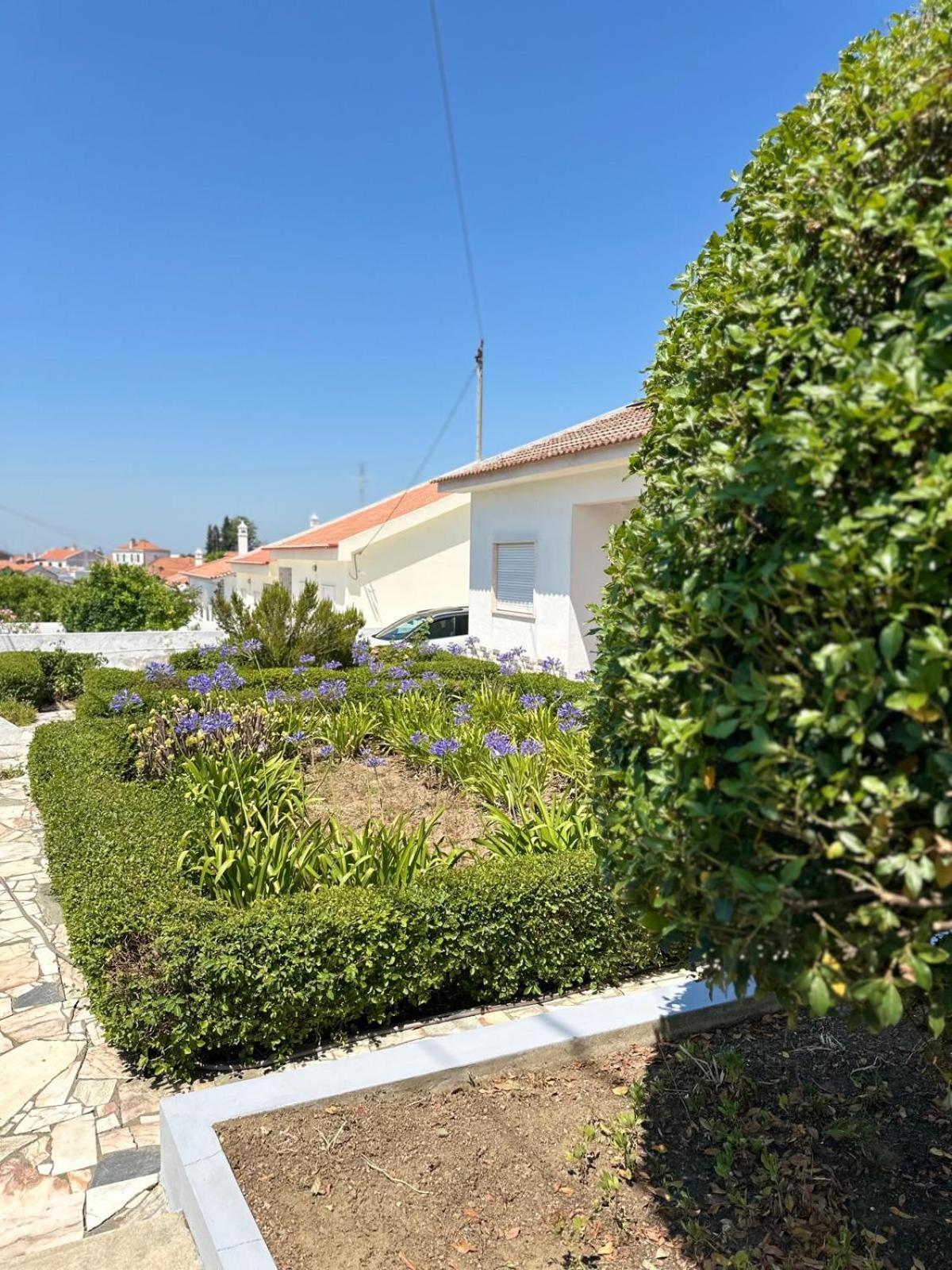 Torrão Casa Sulydance 빌라 외부 사진
