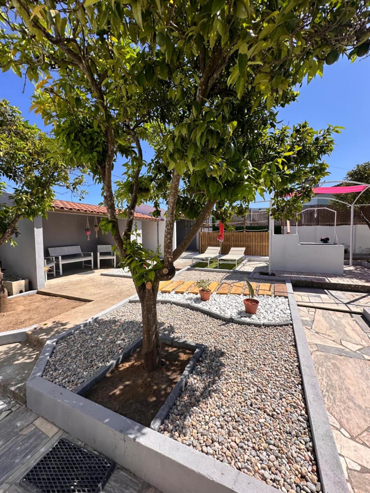 Torrão Casa Sulydance 빌라 외부 사진