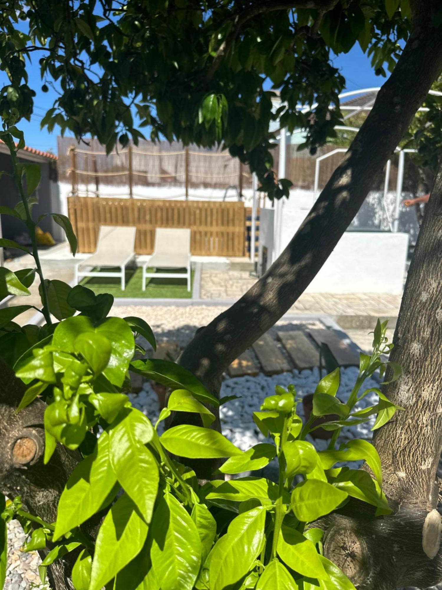 Torrão Casa Sulydance 빌라 외부 사진